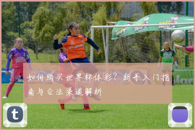 如何购买世界杯体彩？新手入门指南与合法渠道解析