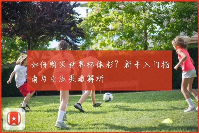 如何购买世界杯体彩？新手入门指南与合法渠道解析